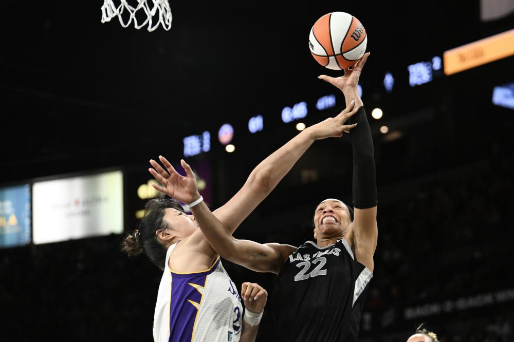 应的防守球 应的防守球